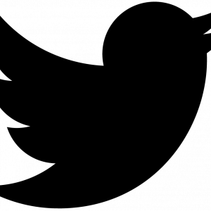 Twitter logo