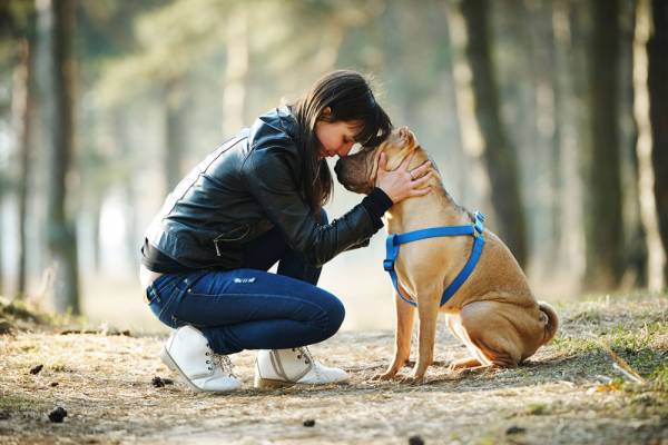 Pets at The Center