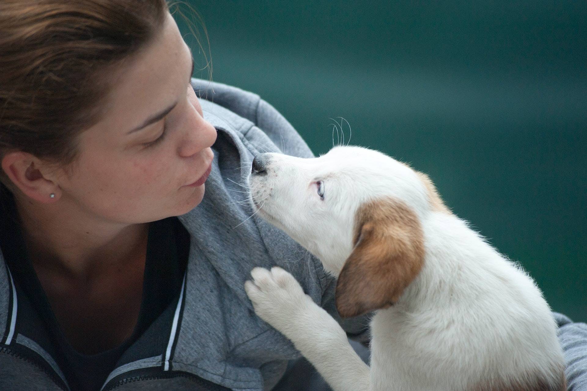 Woman with her dog, warm, happy photo